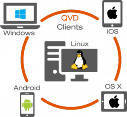 QVD CLIENTS
